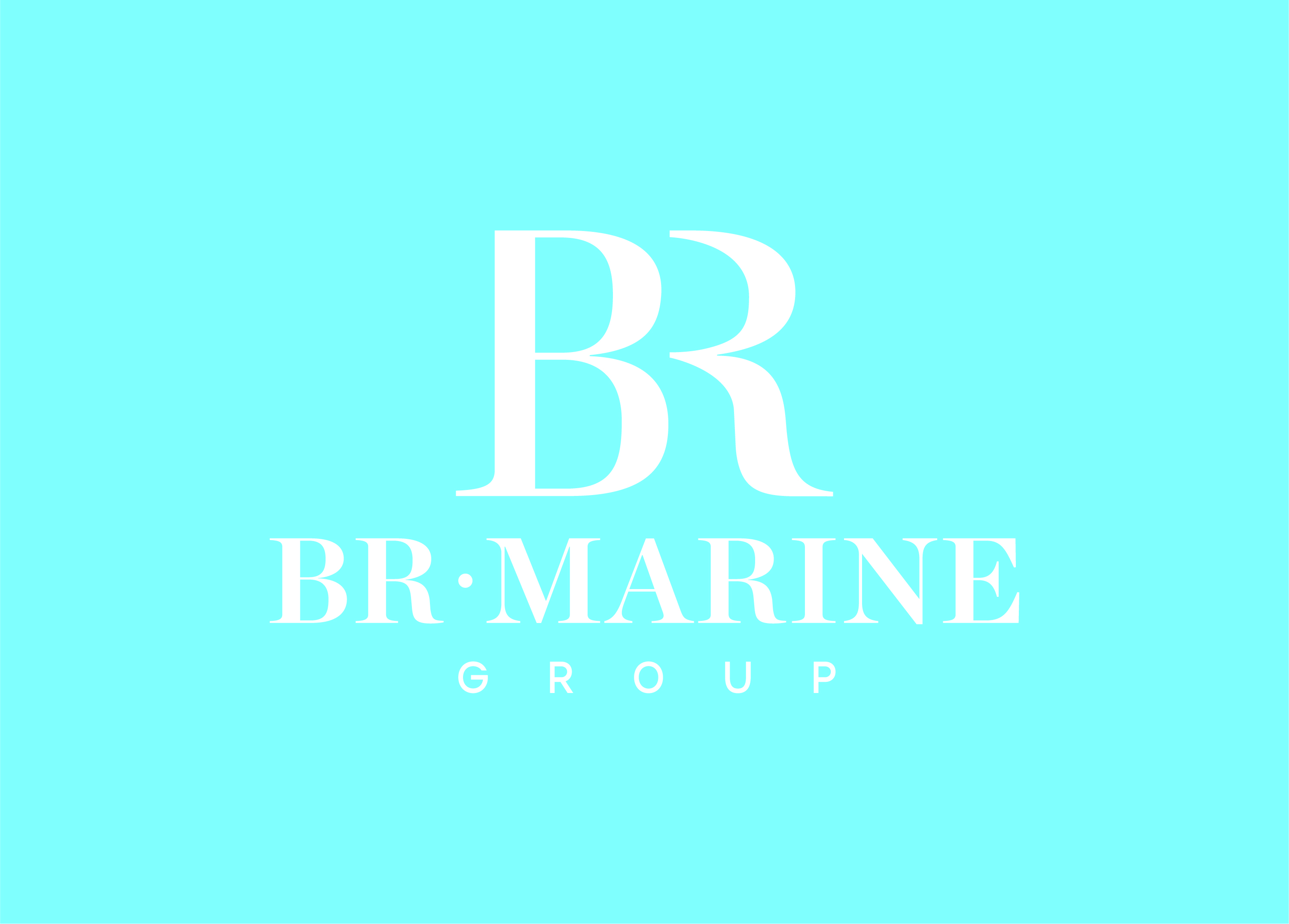 BR Marine Group Logo