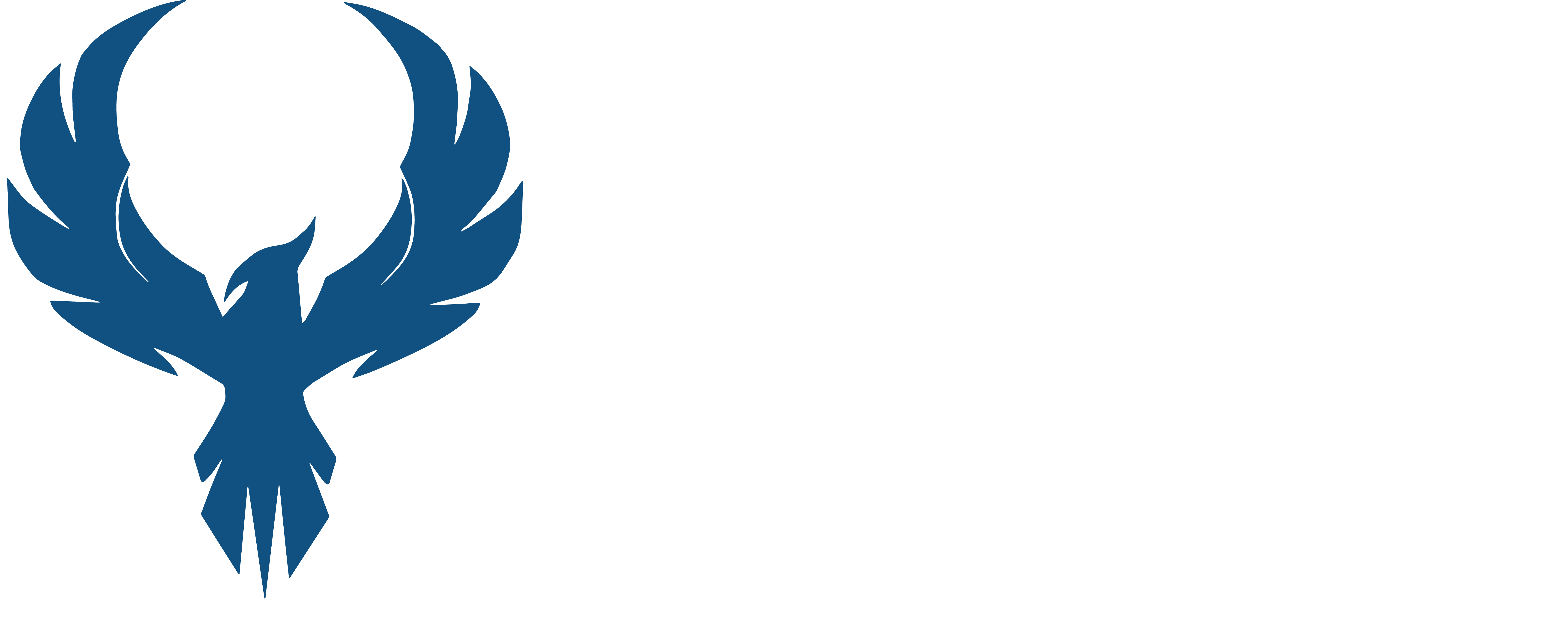 Phx Marine LLC Logo