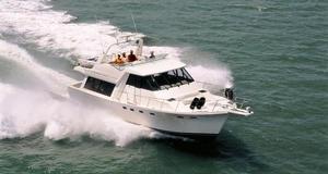 Bayliner image