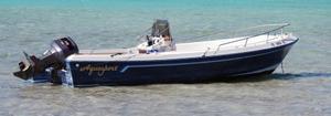 Aquasport Boats for sale