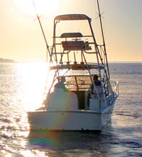 Carolina Classic Boats