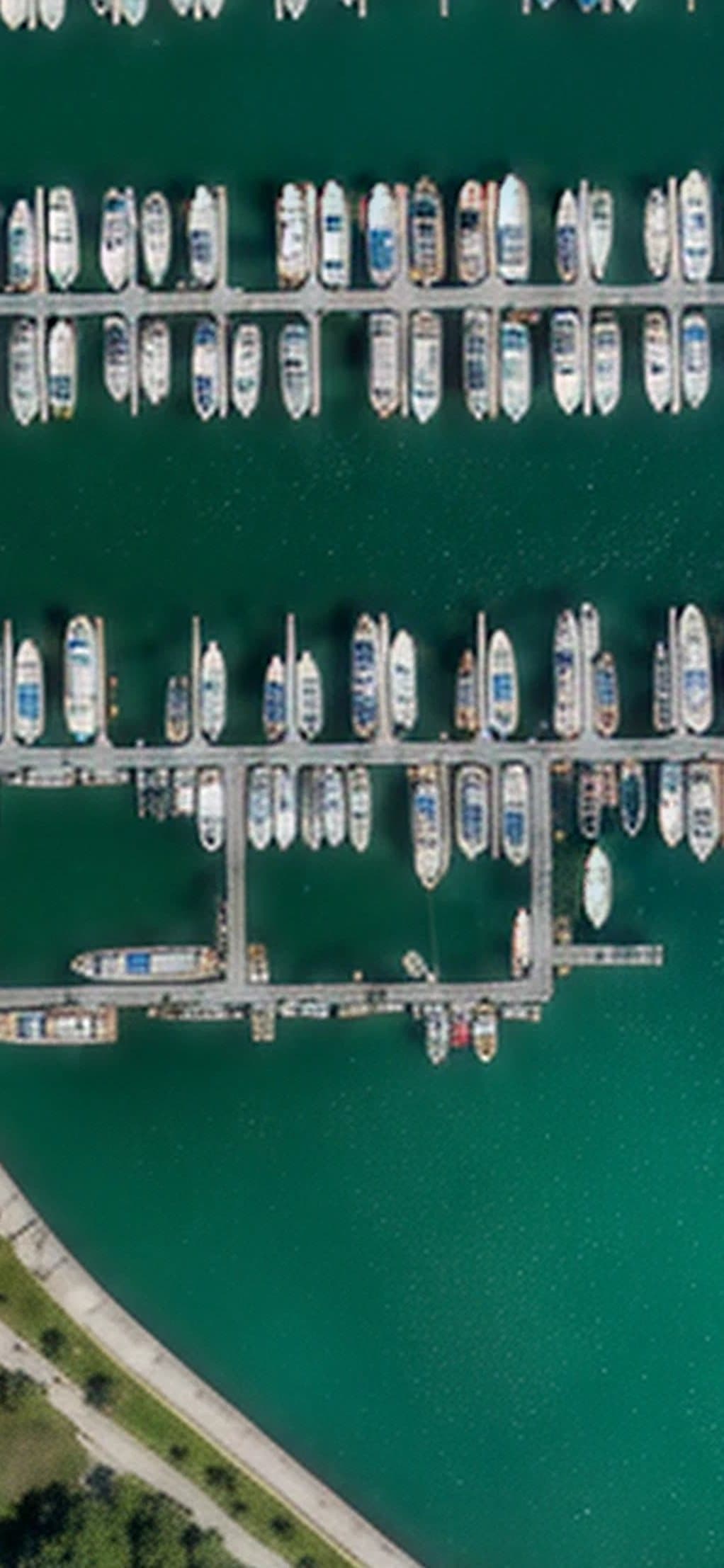 Aerial view of the show marina, docks lined with boats
