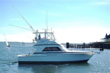 Used Boats: BERTRAM 43 Convertible for sale
