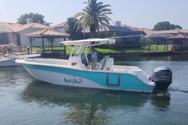 Used Boats: Sea Fox 288 Commander for sale