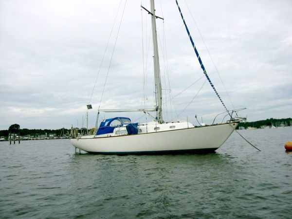 Listing 100620049