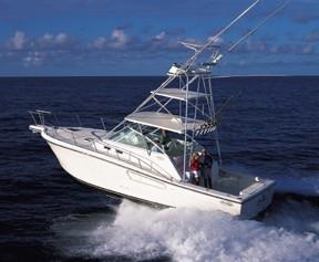 40' Rampage 38 Express