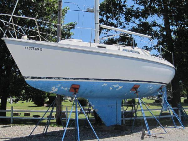 Listing 100658583
