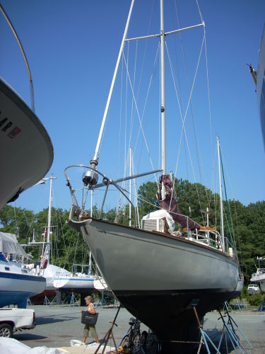 Listing 100660422