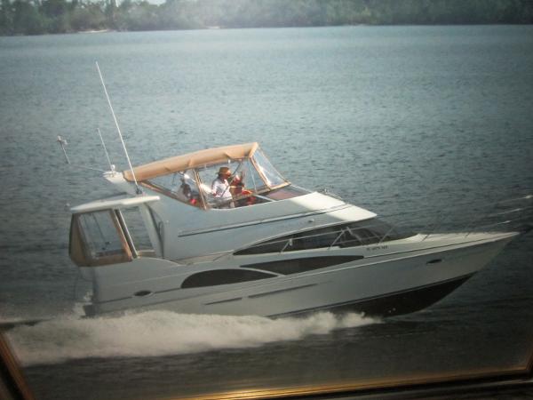 36' CARVER YACHTS 36 MY BR5019