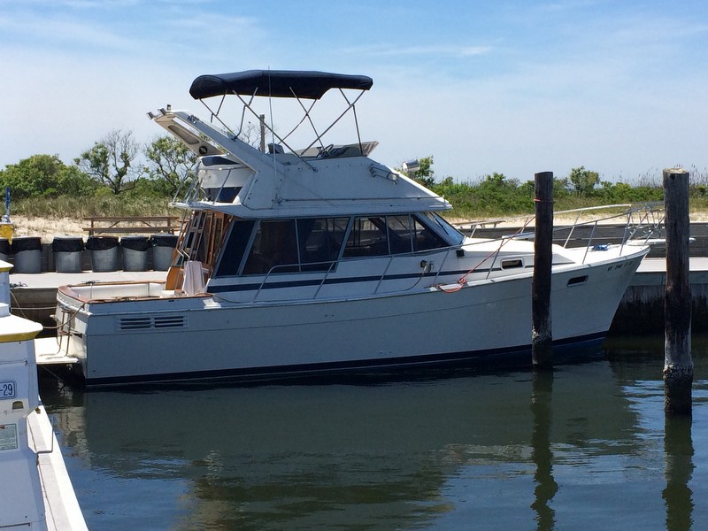 32' Bayliner 3270 Motor Yacht-1987-Patchogue-100689829