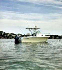 Listing 100711205