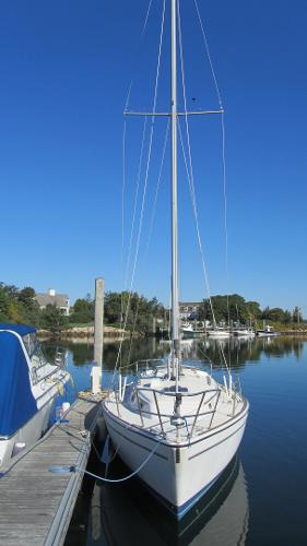 Listing 100715659