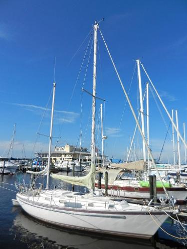 Listing 100716862
