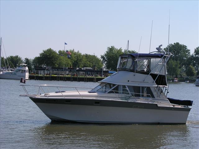 Listing 100718600