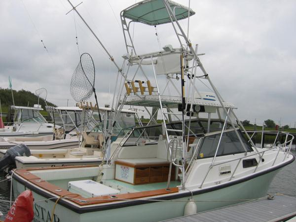 31' Rampage Express Sportfish