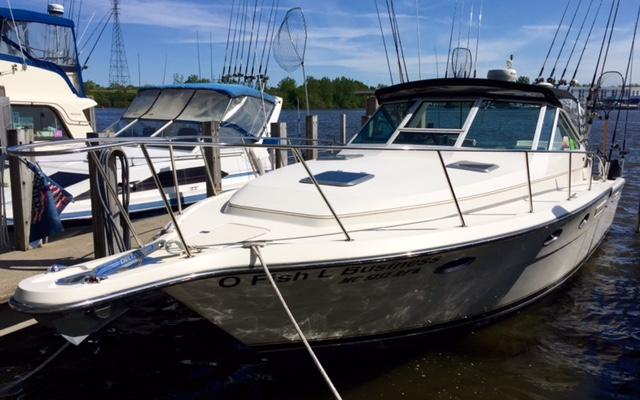 Listing 100736148