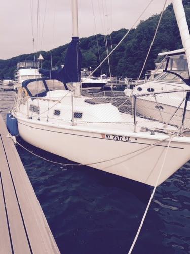 Listing 100737395