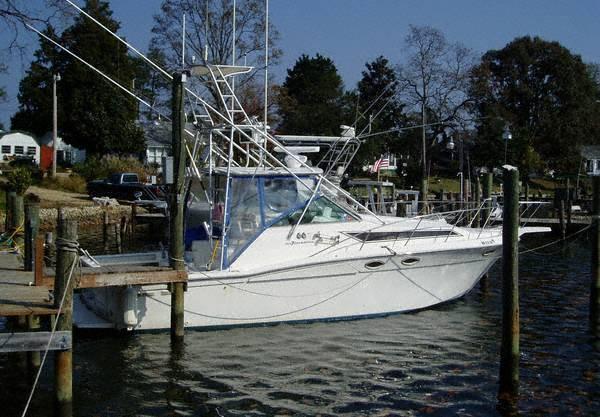 Listing 100762517