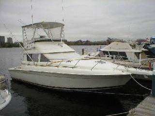 Listing 100765544