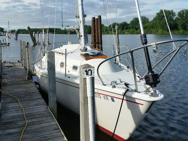 Listing 100770848