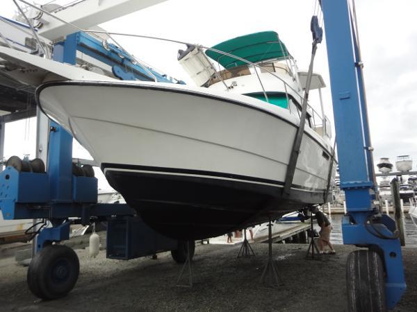 Listing 100782486