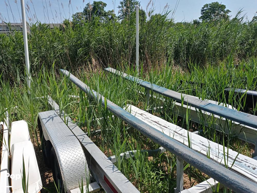 Slide: The Image of Albin 25 Deluxe 1978 - 15654096