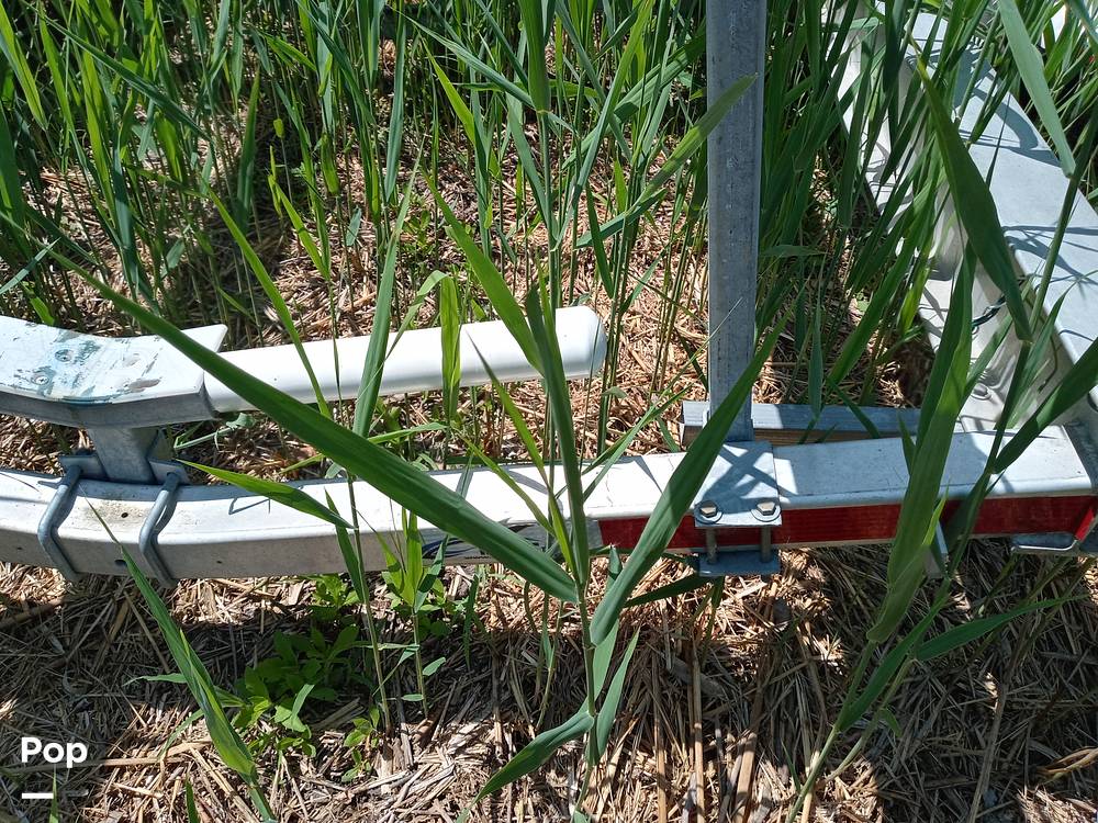 Slide: The Image of Albin 25 Deluxe 1978 - 15654098