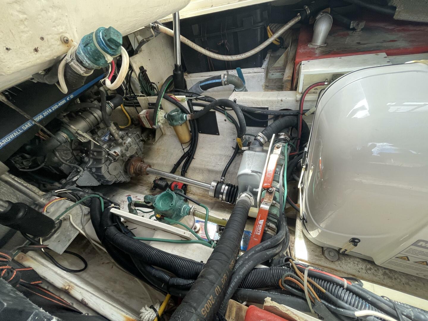 Slide: The Image of Albin 30 2004 - 5166684