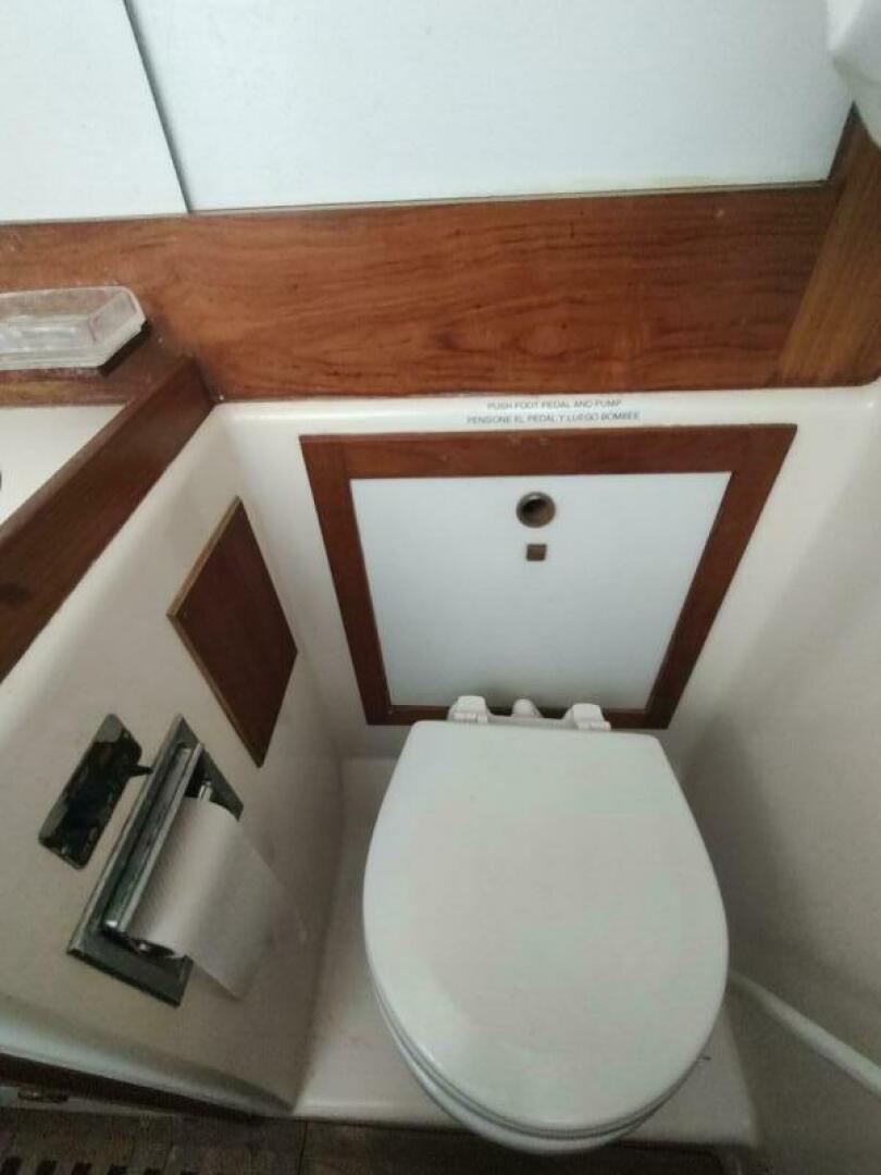 Slide: The Image of Alden 44 1980 - 5620932