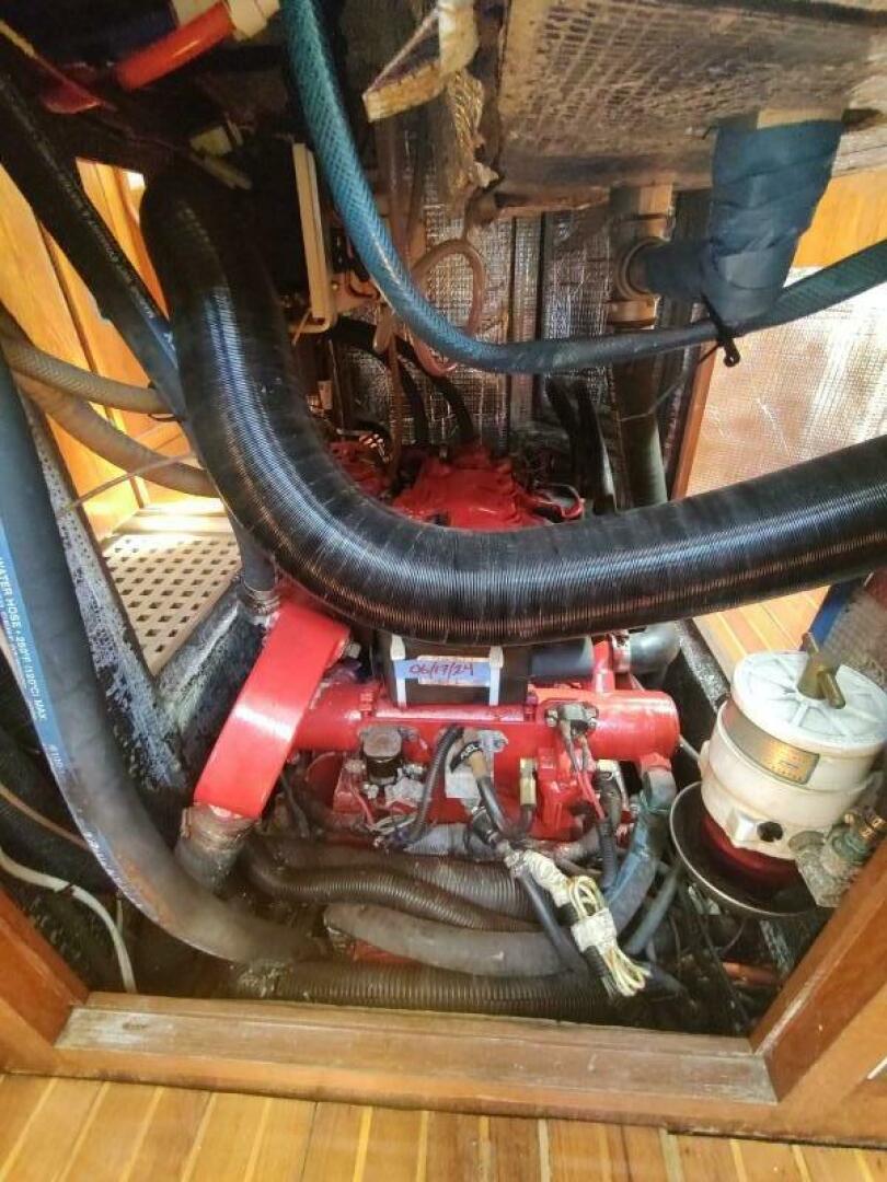 Slide: The Image of Alden 44 1980 - 5620939