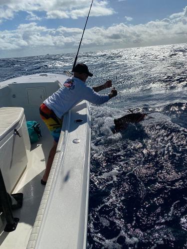 Slide: The Image of Person fishing on a 2014 Andros Tarpon 26 boat in the ocean. - 12