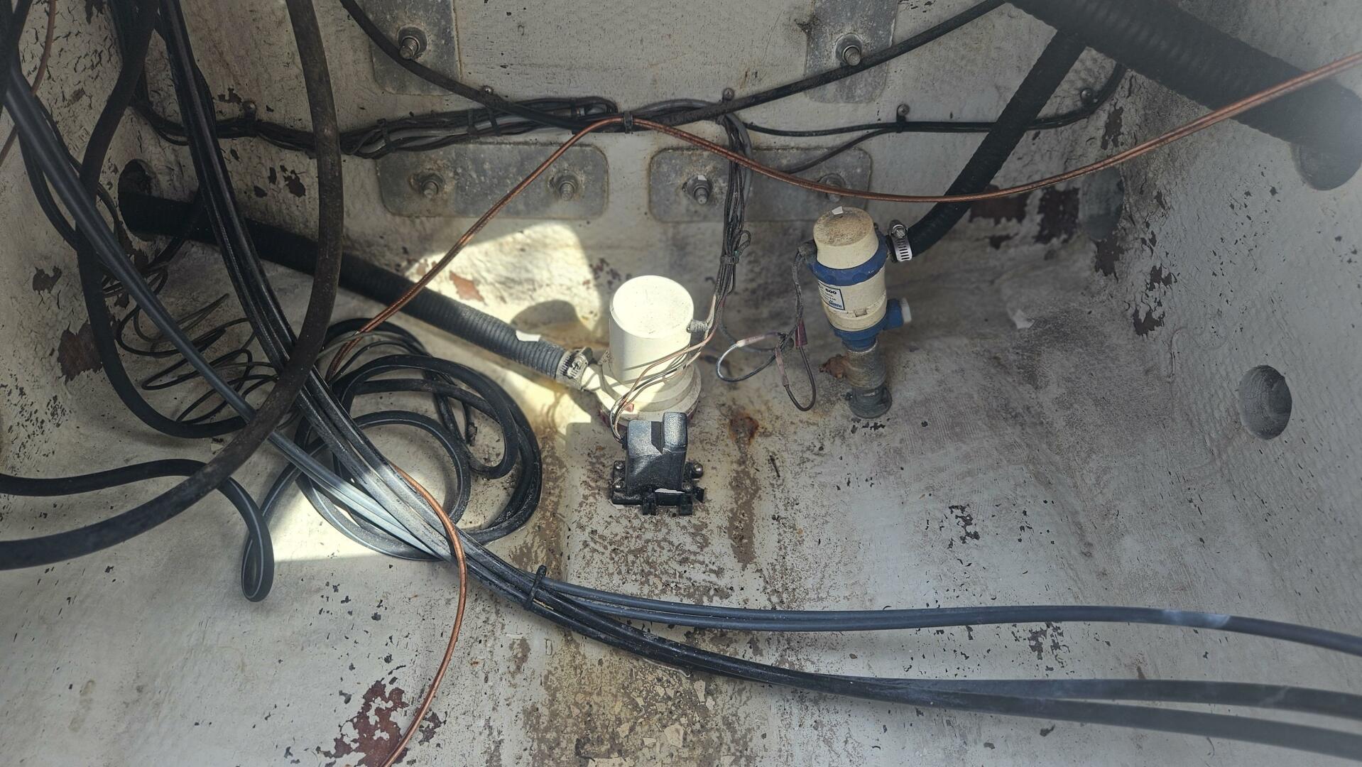 Slide: The Image of Angler 22 2005 - 5166389