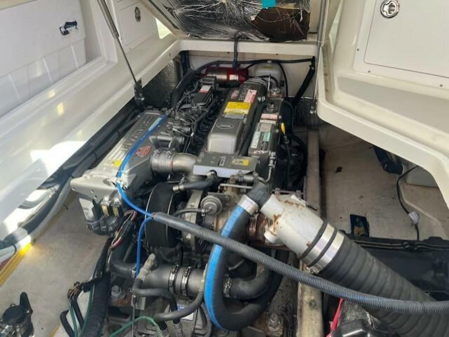 Slide: The Image of Back Cove 29 2008 - 5610117