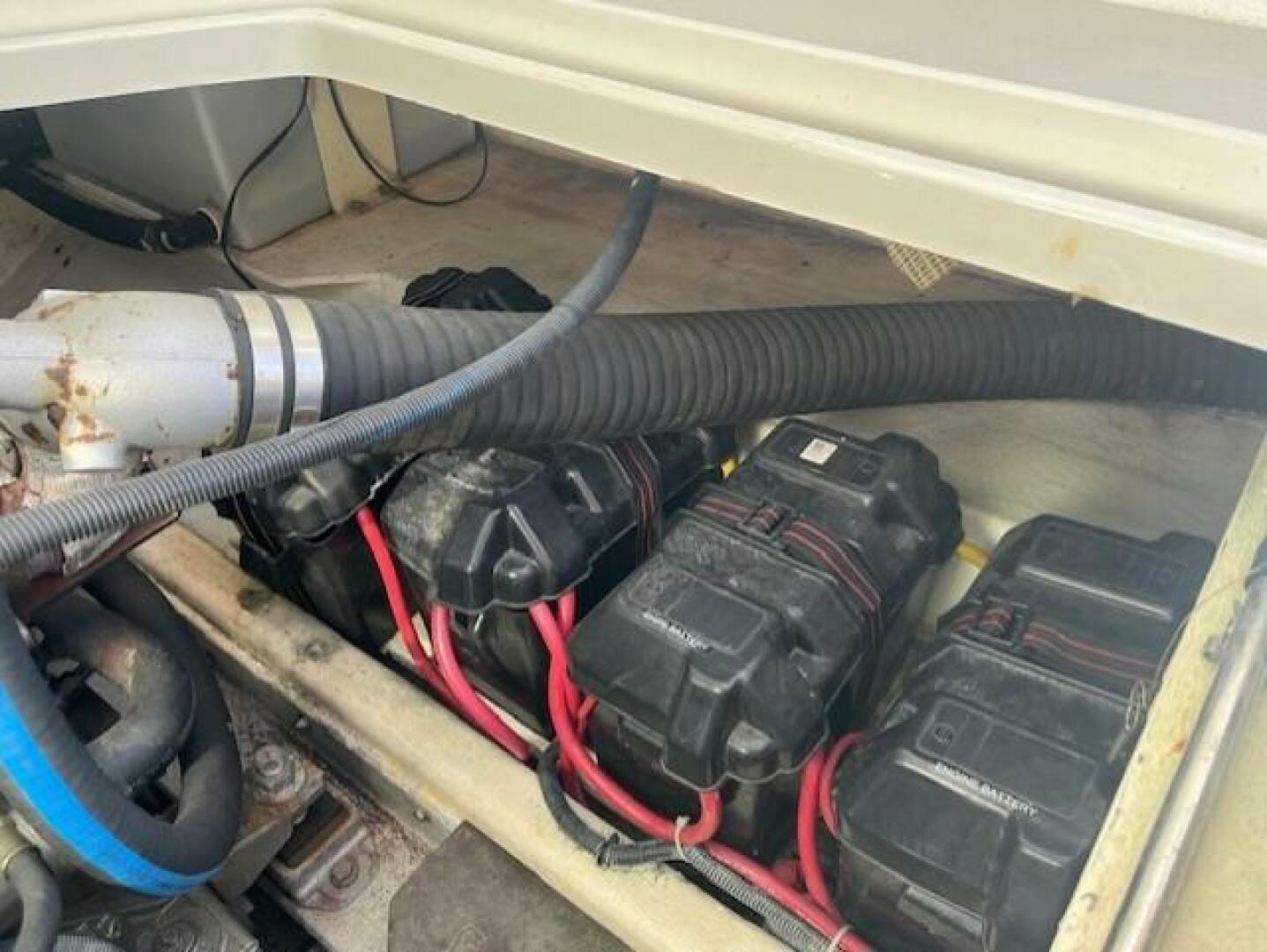 Slide: The Image of Back Cove 29 2008 - 5610119