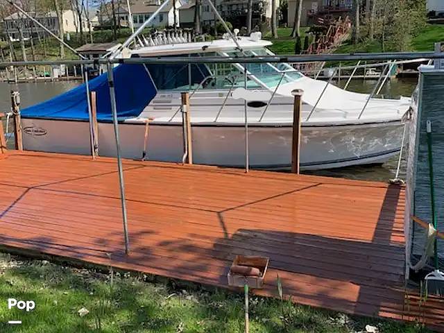 Slide: The Image of Baha Cruisers SF299 2003 - 14863878