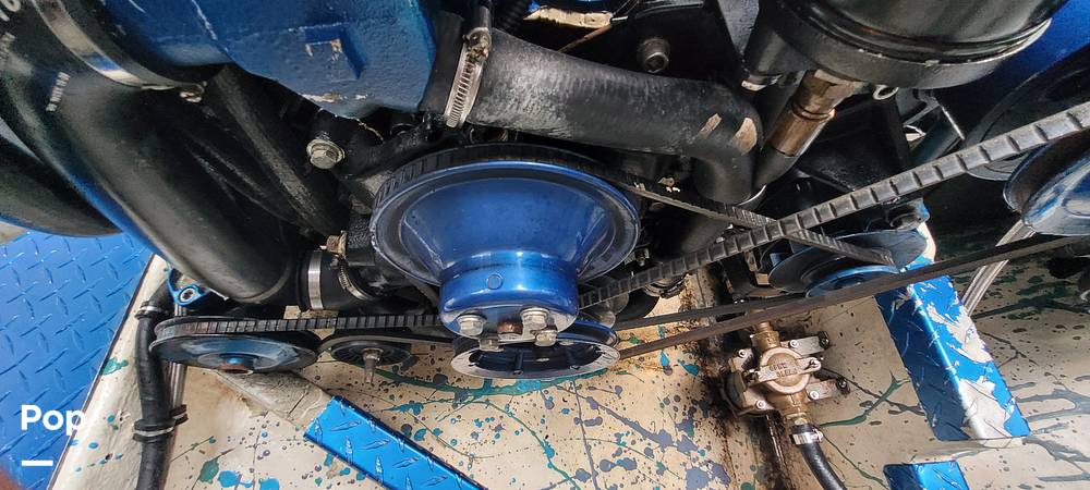 Slide: The Image of Baja 38 Special 1997 - 14637893