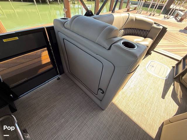 Slide: The Image of Dog View In Door - 15272601