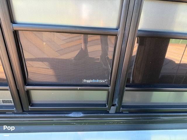 Slide: The Image of Dog View In Door - 15276721