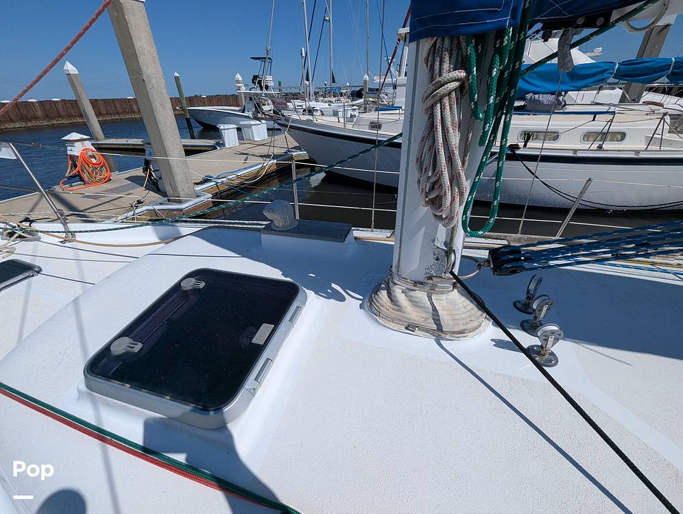 Slide: The Image of Bayfield 32C 1981 - 15414310