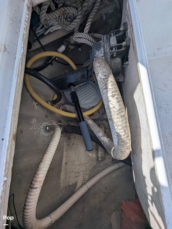 Slide: The Image of Bayfield 32C 1981 - 15414346