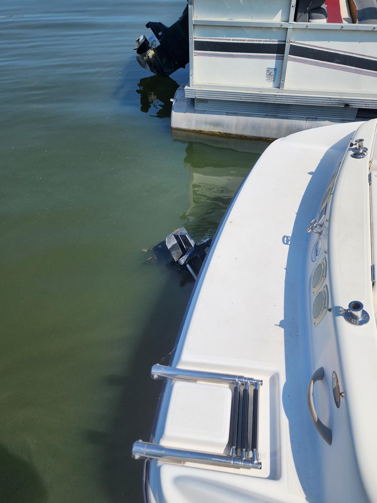 Slide: The Image of Bayliner 205 BR 2003 - 14