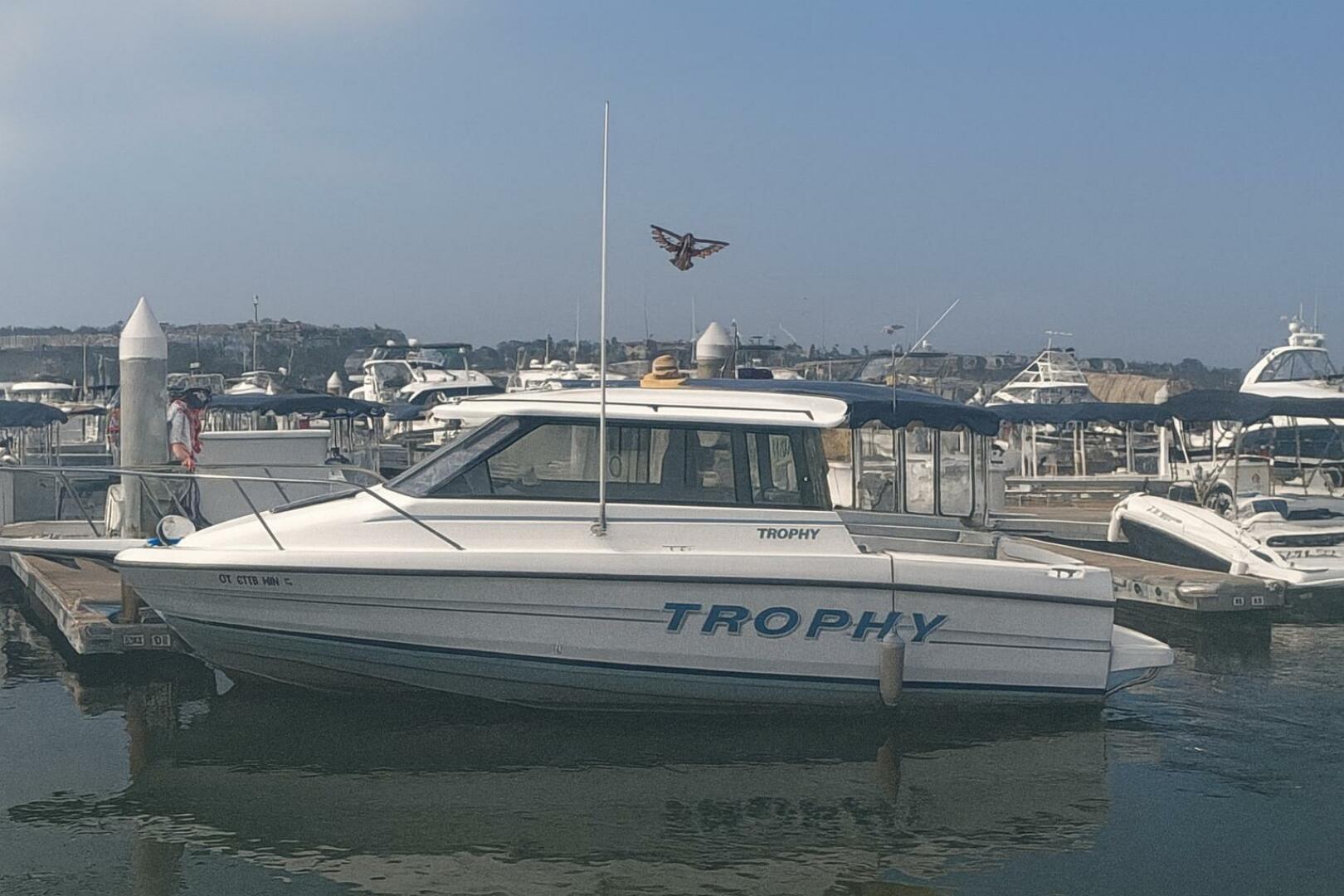 Slide: The Image of Bayliner 2159 Trophy 1991 - 5676773