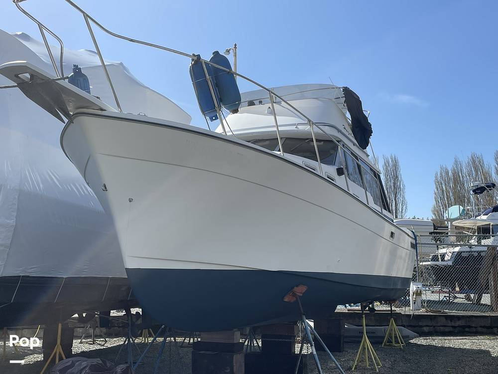 Slide: The Image of Bayliner 3270 Explorer 1984 - 12407620