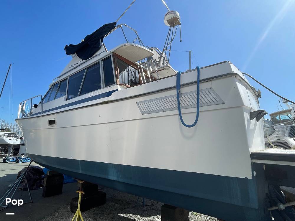 Slide: The Image of Bayliner 3270 Explorer 1984 - 12407622