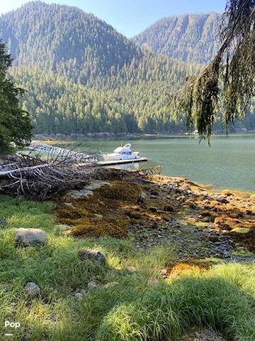 Slide: The Image of Bayliner 3288 1993 - 15362472