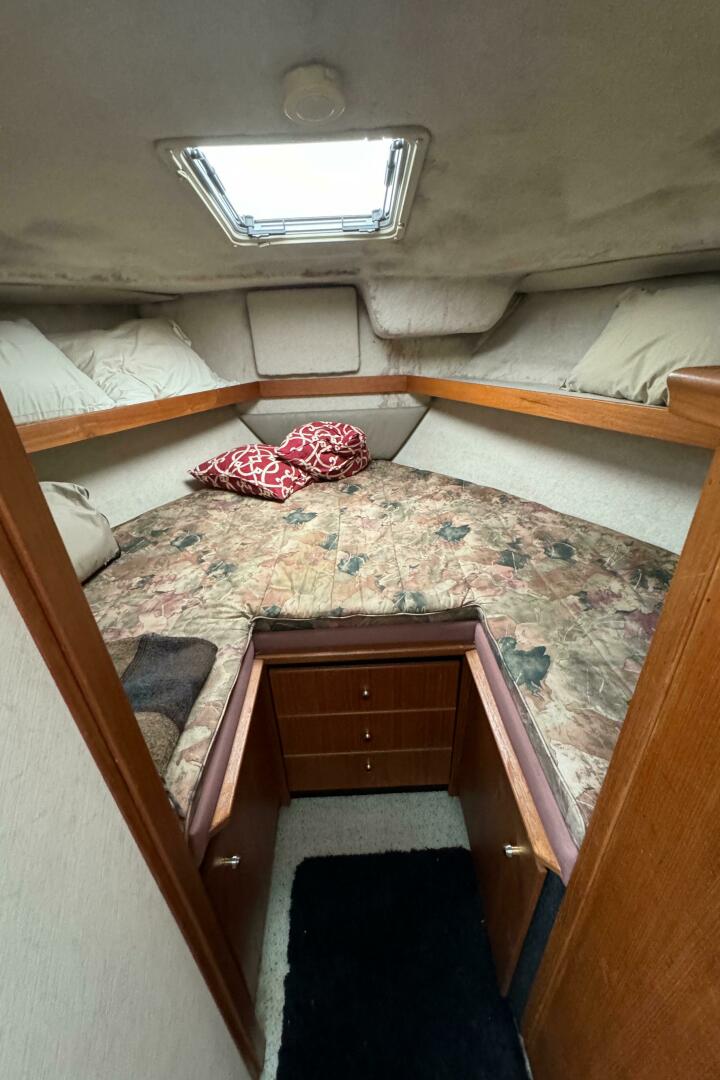 Slide: The Image of Bayliner 3388 Command Bridge Motoryacht 1996 - 5345281