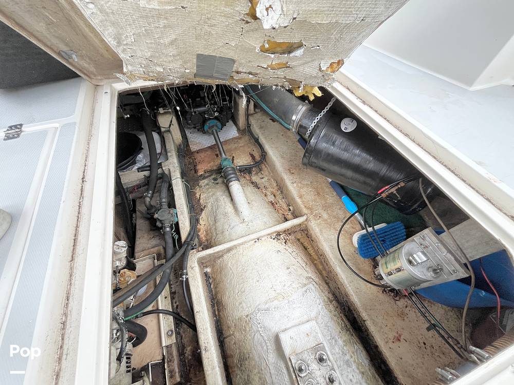 Slide: The Image of Bayliner 3818 1988 - 15145018