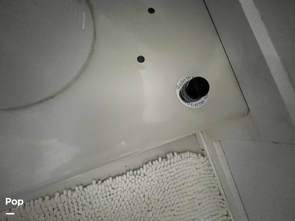 Slide: The Image of Electric Flush - 15145090