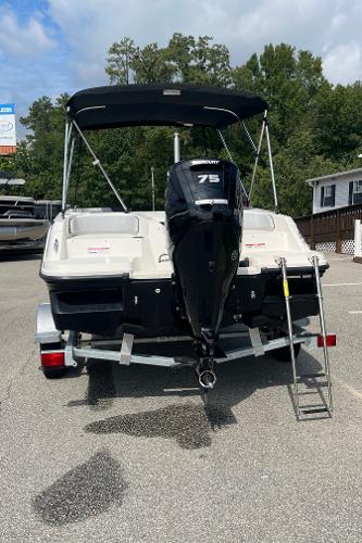 Slide: The Image of 2024 Bayliner Element M17 boat with 75 HP engine and ladder. - 5