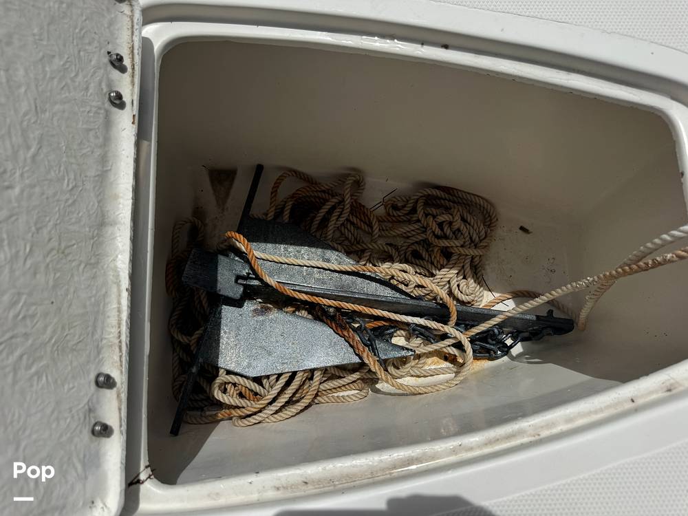 Slide: The Image of Beachcat 230 2019 - 15782373